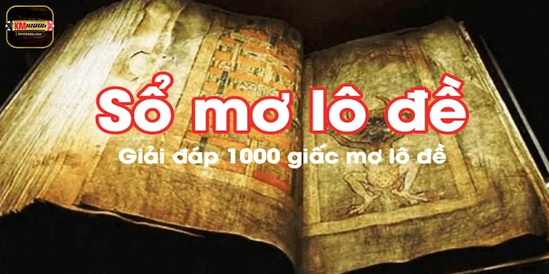 Phổ biến những sổ mơ lô đề thường gặp nhất mà bạn cần biết